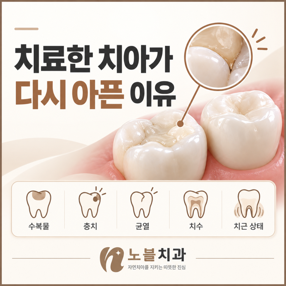 수복물 · 충치 · 균열 · 치수 · 치근 상태