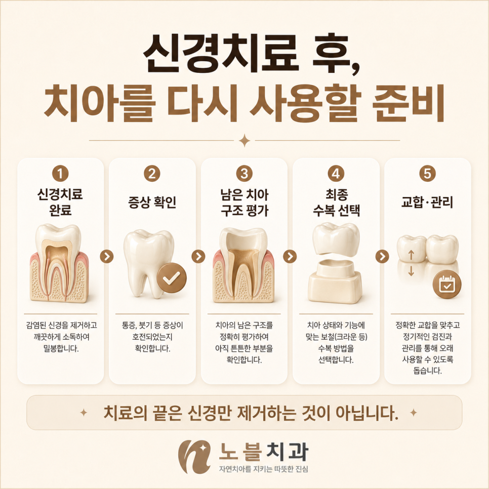 치료의 끝은 신경만 제거하는 것이 아닙니다.