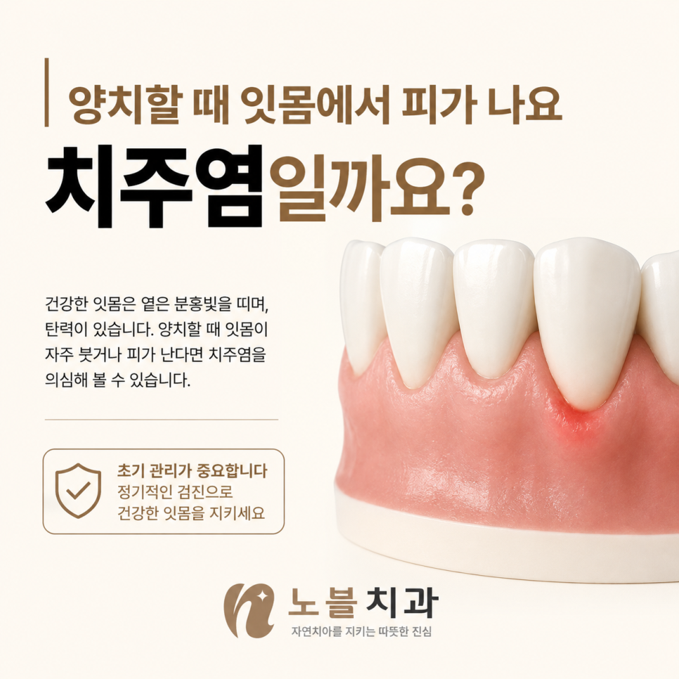 출혈만으로 판단하지 않습니다. 잇몸 염증과 주변 뼈를 함께 확인합니다.