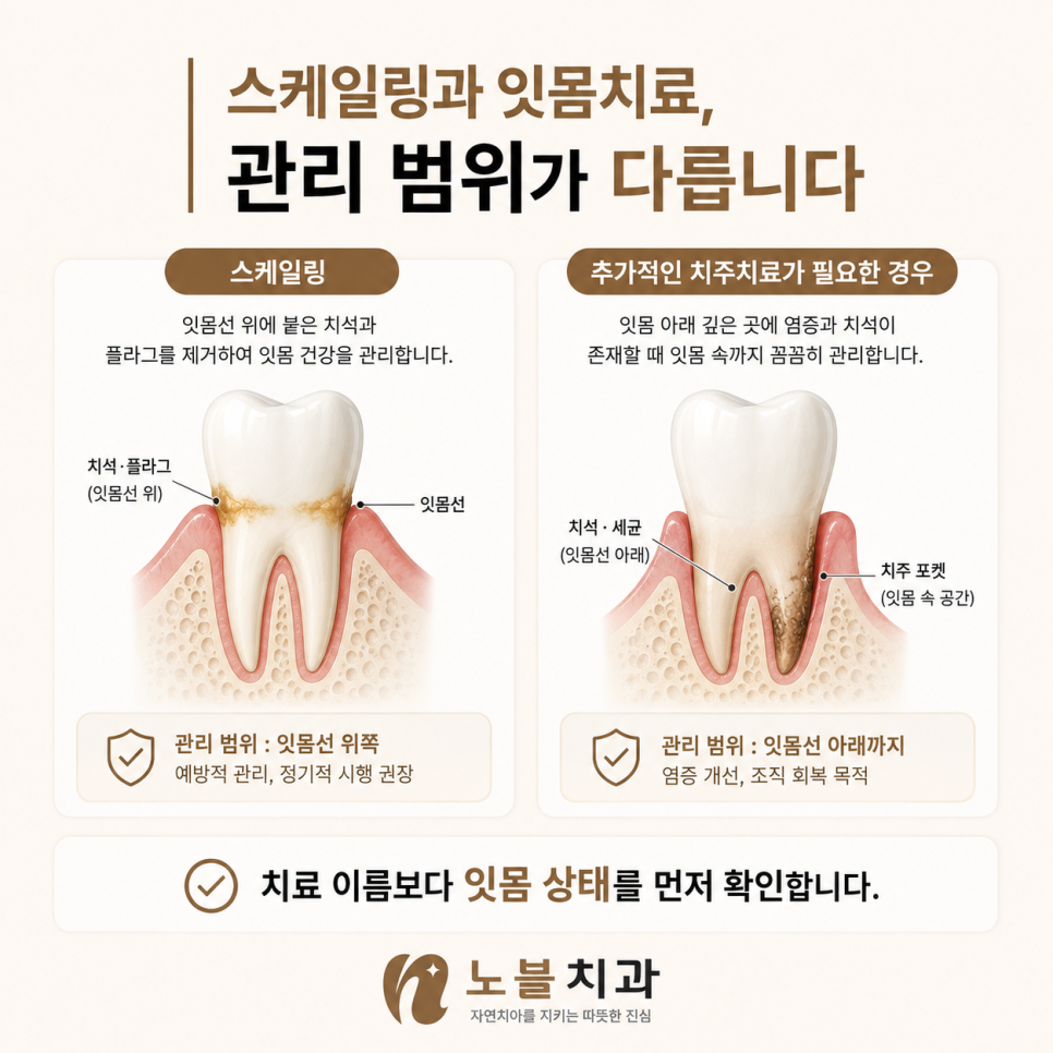 치료 부터 정하지 않고 잇몸 상태를 먼저 확인합니다.