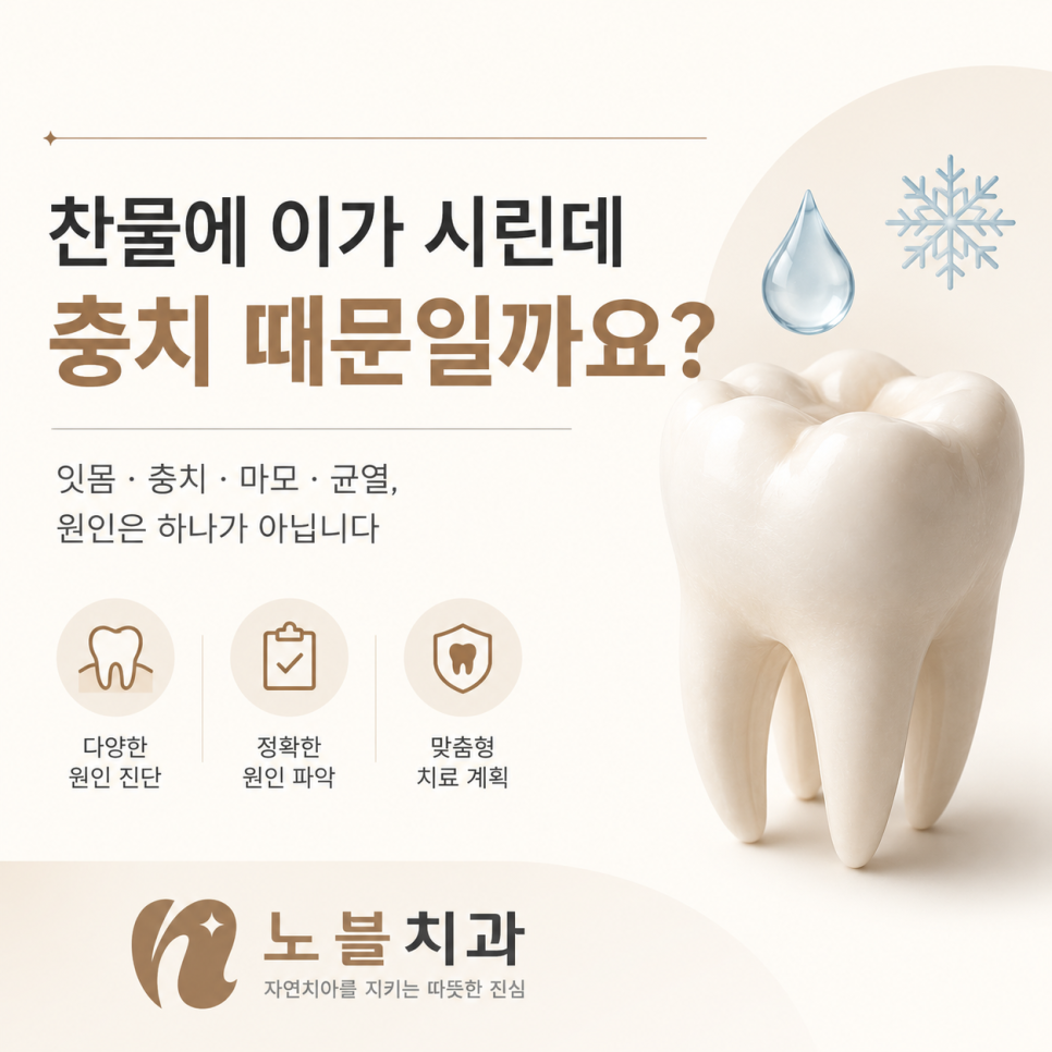 잇몸 · 충치 · 치아 마모 · 균열 원인은 하나가 아닙니다.