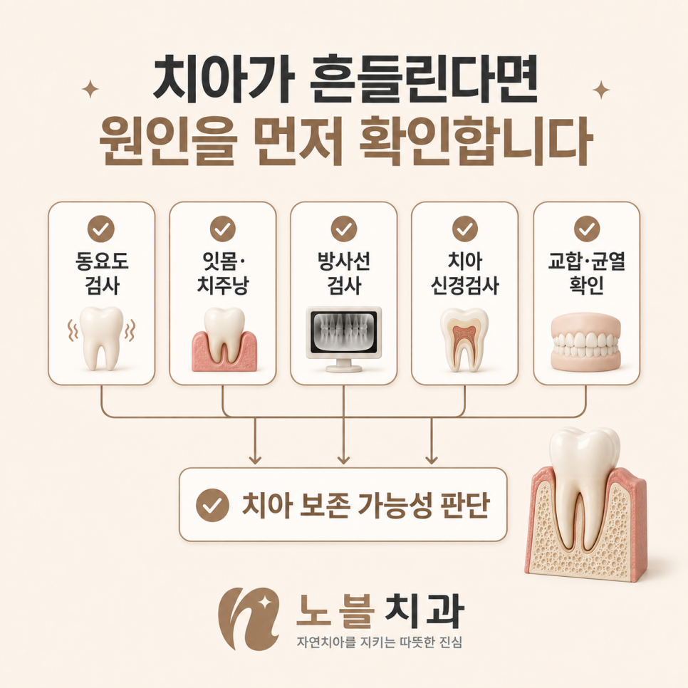 치아가 흔들린다면 발치 여부보다 원인을 먼저 확인해야 합니다