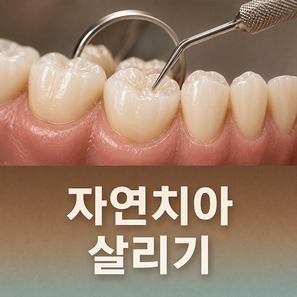 자연치아 보존 진료